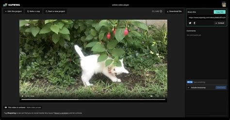 Online Video Player — Play Videos in Browser .
